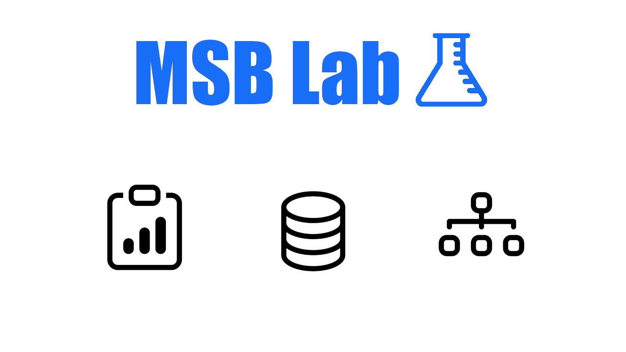 MSB Lab